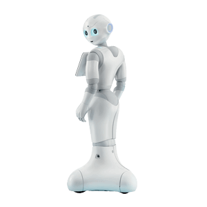 Pepper
