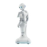 Pepper