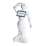 Pepper