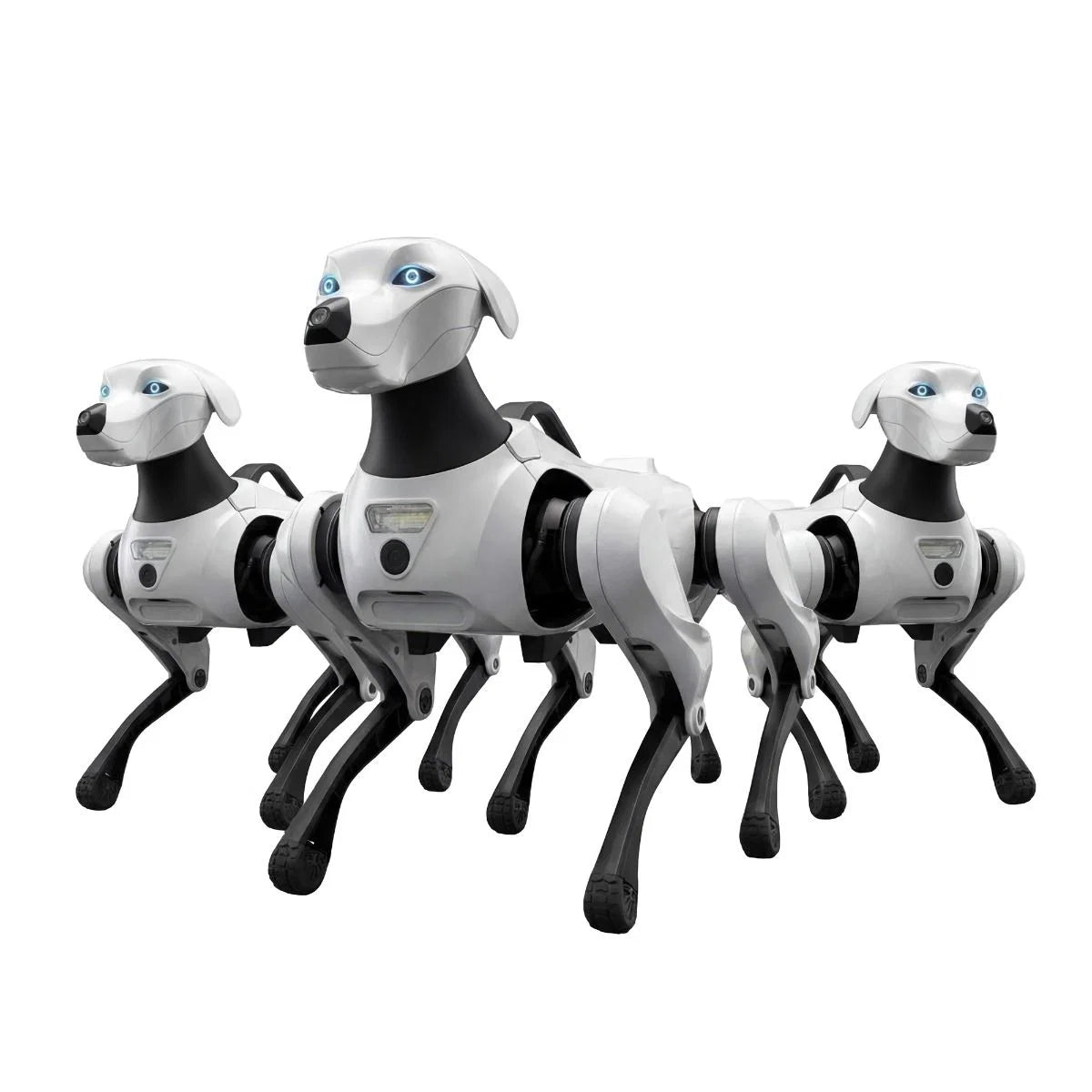 Argos X1